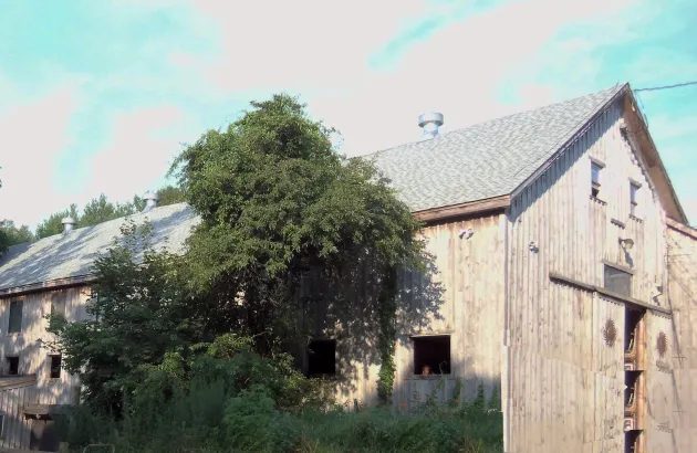 The wooden barn at Linebrook Farm